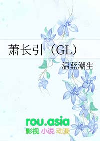 萧长引GL小说封面